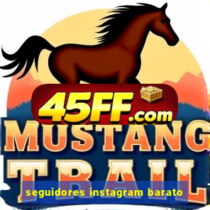 seguidores instagram barato